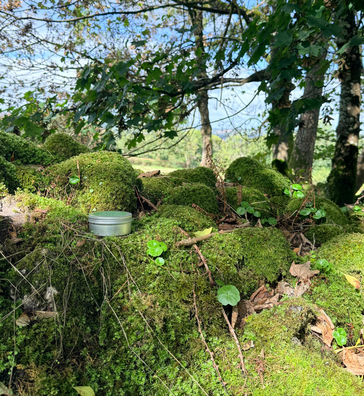 Made With Nature organic moisturiser sits on a mossy hillside in a wooded outdoor setting with trees, greenery, and blue sky visible in the background.